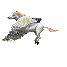 Animated Pegasis
